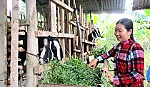 Huyện Cai Lậy: Nỗ lực giảm nghèo bền vững