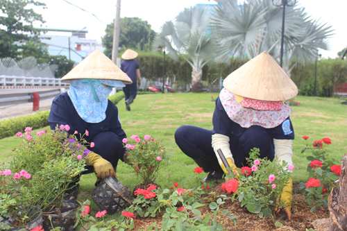 Công nhân Công ty TNHH MTV Công trình đô thị Mỹ Tho trồng hoa tại khu vực giao giữa đường Ấp Bắc và Lý Thường Kiệt.