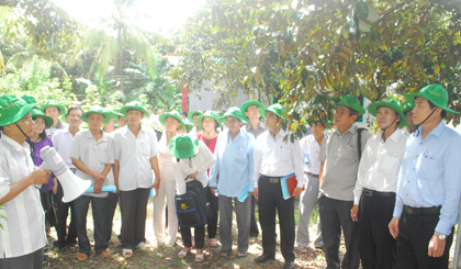 Nông dân nghe thuyết trình về kỹ thuật trồng vú sữa.