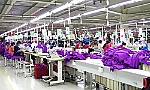 Xã Bình Phú hướng đến đô thị loại V