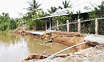 Sạt lở nghiêm trọng ở Phú An - Cai Lậy