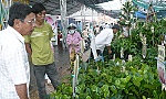 Quản lý kinh doanh cây giống: Vẫn còn bỏ ngỏ