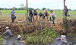 Tiền Giang: Chung tay trục vớt lục bình