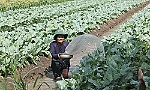 UBND tỉnh Tiền Giang trình và giải trình nhiều vấn đề gắn với thực tiễn