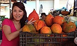 Nữ tiến sỹ Việt tìm ra công dụng 