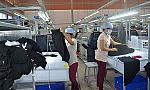 Trợ lực khởi nghiệp sáng tạo