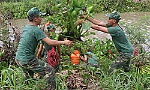 Nghiệm thu công trình vớt lục bình trên kinh Tham Thu