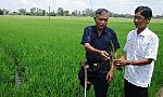 Làm theo Bác, sống gương mẫu, trách nhiệm trong công việc