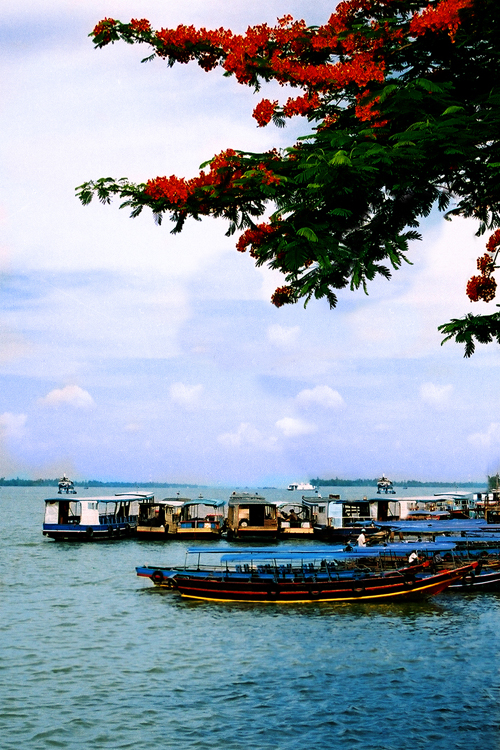 Tiền Giang có lợi thế về du lịch sông nước.  Ảnh: Dương Hoàng Lộc