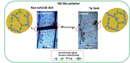 Để tạo ra khả năng “tự lành” cho vật liệu, các liên kết cộng hóa trị thuận nghịch Diels-Alder sẽ được dùng làm cầu nối mạng cho các mạch polydimethylsiloxane và polycaprolactone. (Ảnh minh họa).