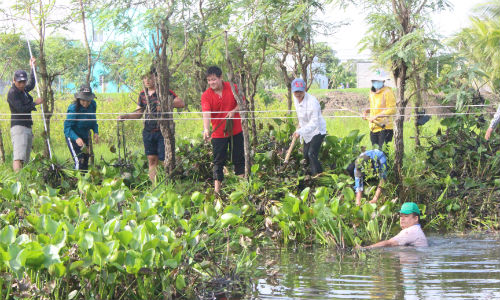  Trục vớt lục bình trên kinh Tham Thu. 