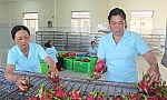 Khởi sắc từ chính sách 