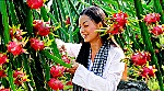 Tự tin đón làn sóng đầu tư mới