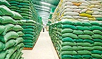 Quy định mới về điều kiện kinh doanh xuất khẩu gạo