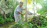 Hướng đến nền nông nghiệp 