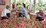 Chợ Gạo hướng đến huyện nông thôn mới