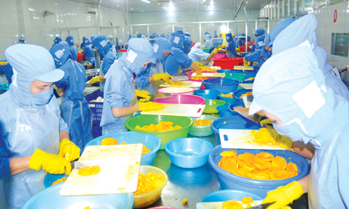 Tiền Giang tập trung khai thác lợi thế so sánh để phát triển.                                                                                                                                                                                                                                                                                   Ảnh: THÁI THIỆN