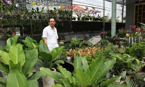 Anh Hoa trong vườn cây giống của mình.