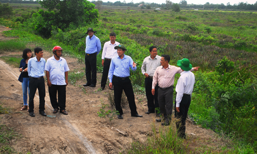 Đoàn công tác khảo sát tuyến đê Tây kinh 82.