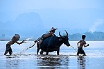Hai nhiếp ảnh gia mang 'Sắc màu Việt Nam' tới Áo và Hy Lạp