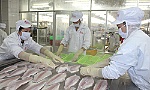 Vì sao hộ kinh doanh ngại lên doanh nghiệp?