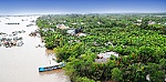 Những 
