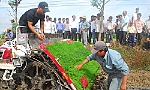 Trình diễn máy cấy lúa 