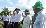 Tập trung bảo vệ vườn cây ăn trái  và diện tích lúa