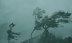 Bão Mangkhut đổ bộ vào Quảng Đông, sóng biển cao 4m ở Vịnh Bắc Bộ
