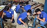 Đảm bảo nguồn nhân lực phát triển kinh tế biển