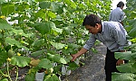 Thúc đẩy 