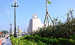 Nhiều tín hiệu khả quan