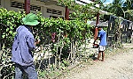 Chuyển hướng đi lên của một xã nghèo
