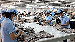Thận trọng với hàng hóa đội lốt 