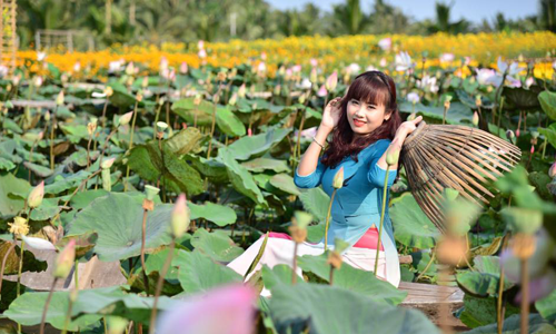 Khách du lịch tìm đến vườn hoa Bách Nhật Hoa Viên (xã Tam Hiệp, huyện Châu Thành) đúng dịp hoa sen nở rộ.