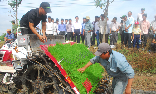  Kiểm tra kỹ thuật  máy  cấy lúa, bón phân và phun thuốc.