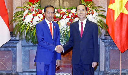 Chủ tịch nước Trần Đại Quang và Tổng thống Indonesia Joko Widodo tại lễ đón. Ảnh: Nhan Sáng/TTXVN