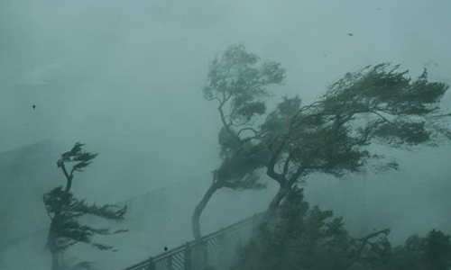 Gió lớn do ảnh hưởng của bão Mangkhut tại Hong Kong, Trung Quốc ngày 16/9. (Nguồn: THX/TTXVN)