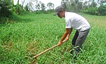 Lợi ích kép trong xây dựng hầm biogas