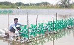 Xã Phú Tân trên đường giảm nghèo bền vững