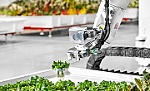Nông trại tự động đầu tiên trên thế giới do robot quản lý