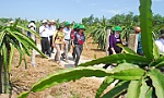 Các chỉ tiêu chủ yếu và những giải pháp cơ bản