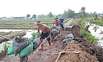 Nhiều giải pháp tháo gỡ khó khăn