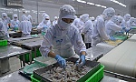 Tận dụng lợi thế xuất khẩu