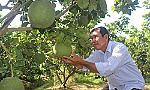 Kinh nghiệm xây dựng nông thôn mới ở xã Tân Mỹ Chánh