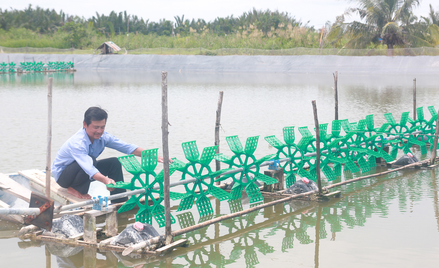 Gia đình ông Võ Quốc Thanh đã mạnh dạn vay vốn đầu tư nuôi tôm sú để vươn lên. 