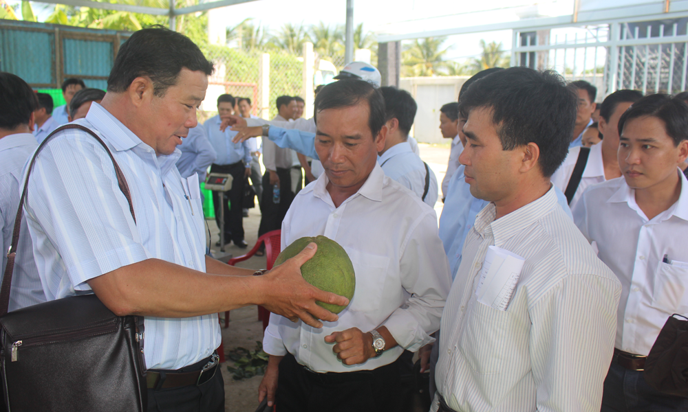 Lãnh đạo các xã phấn đấu ra mắt NTM giai đoạn 2018-2020 tham quan Tổ hợp tác Bưởi Da xanh ấp Bình Thành.
