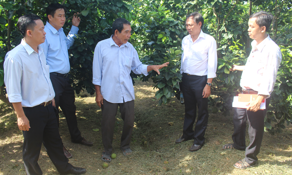 Chia sẻ kinh nghiệm.