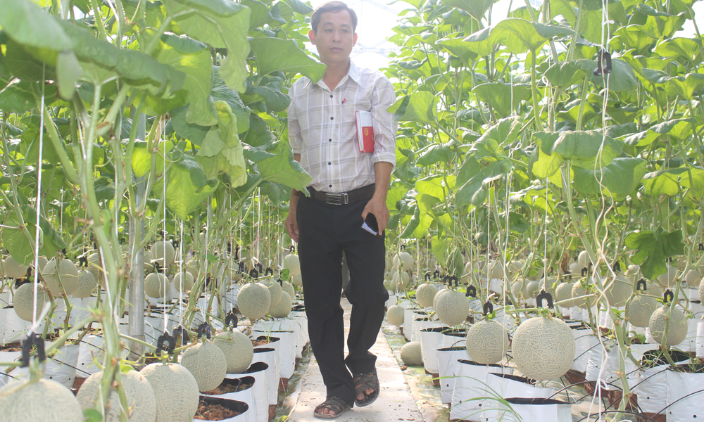 Tham quan mô hình nông nghiệp ứng dụng công nghệ cao tại ấp Bình Phong, xã Tân Mỹ Chánh.