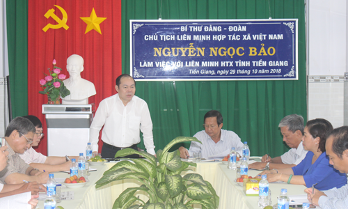Chủ tịch Liên minh HTX Việt Nam Nguyễn Ngọc Bảo phát biểu tại buổi làm việc với Liên minh HTX Tiền Giang.